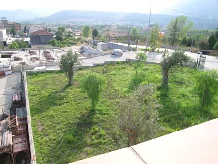 DSCN8401