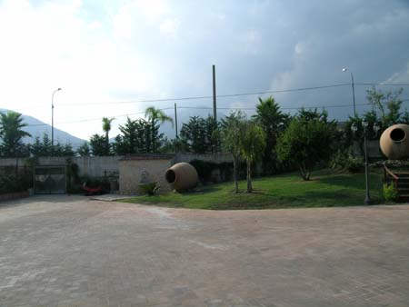 DSCN8409