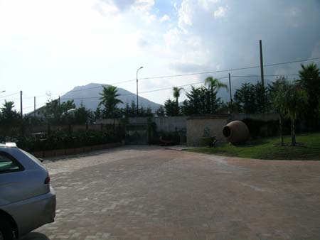 DSCN8410