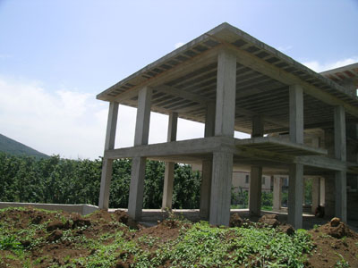DSCN7692